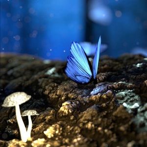 Meet your Posher, Melony